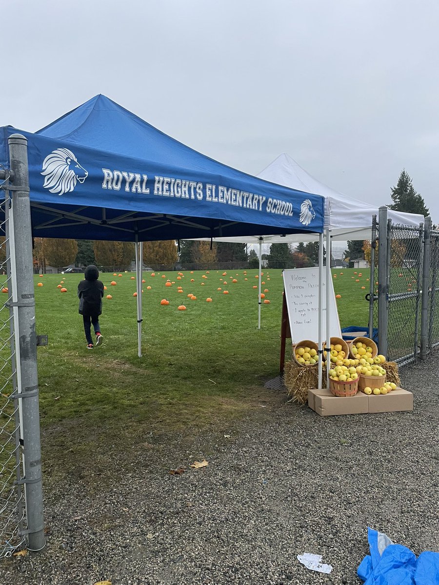 MsParbeeBrar's tweet photo. Such a fun day at @RoyalHeightsBC pumpkin patch!! @Surrey_Schools@sd36learn https://t.co/Z3GGyfiGFE