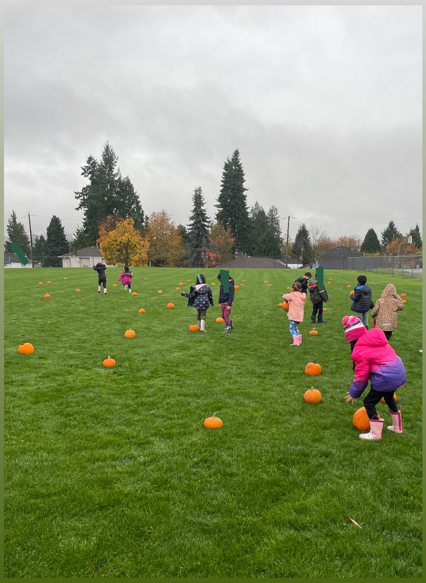 MsParbeeBrar's tweet photo. Such a fun day at @RoyalHeightsBC pumpkin patch!! @Surrey_Schools@sd36learn https://t.co/Z3GGyfiGFE