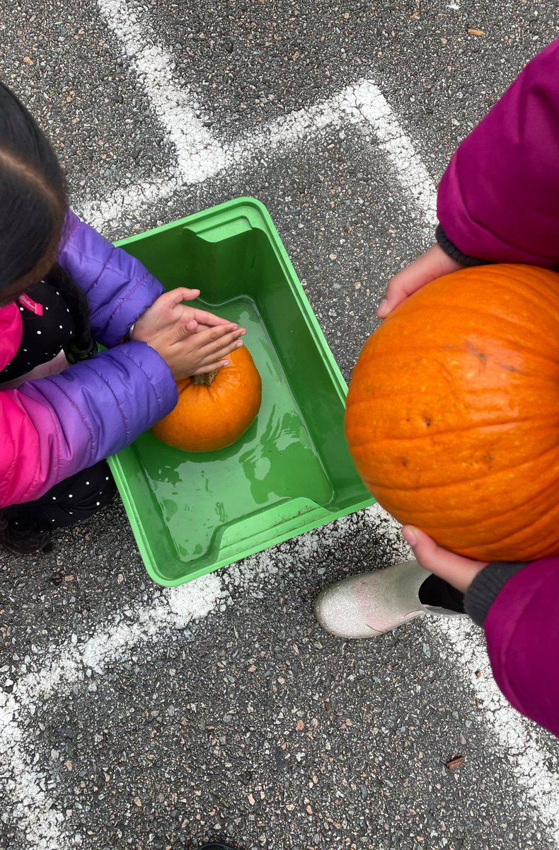 MsParbeeBrar's tweet photo. Such a fun day at @RoyalHeightsBC pumpkin patch!! @Surrey_Schools@sd36learn https://t.co/Z3GGyfiGFE