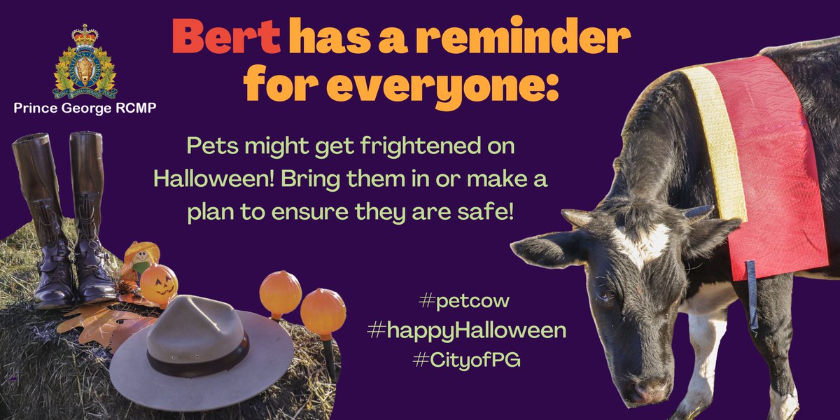 PG_RCMP's tweet photo. Have a safe and ghoulishly good Halloween! 🎃👻🍭
#HappyHalloween 
#PetCow 
@CityofPG https://t.co/PfMY0046ag