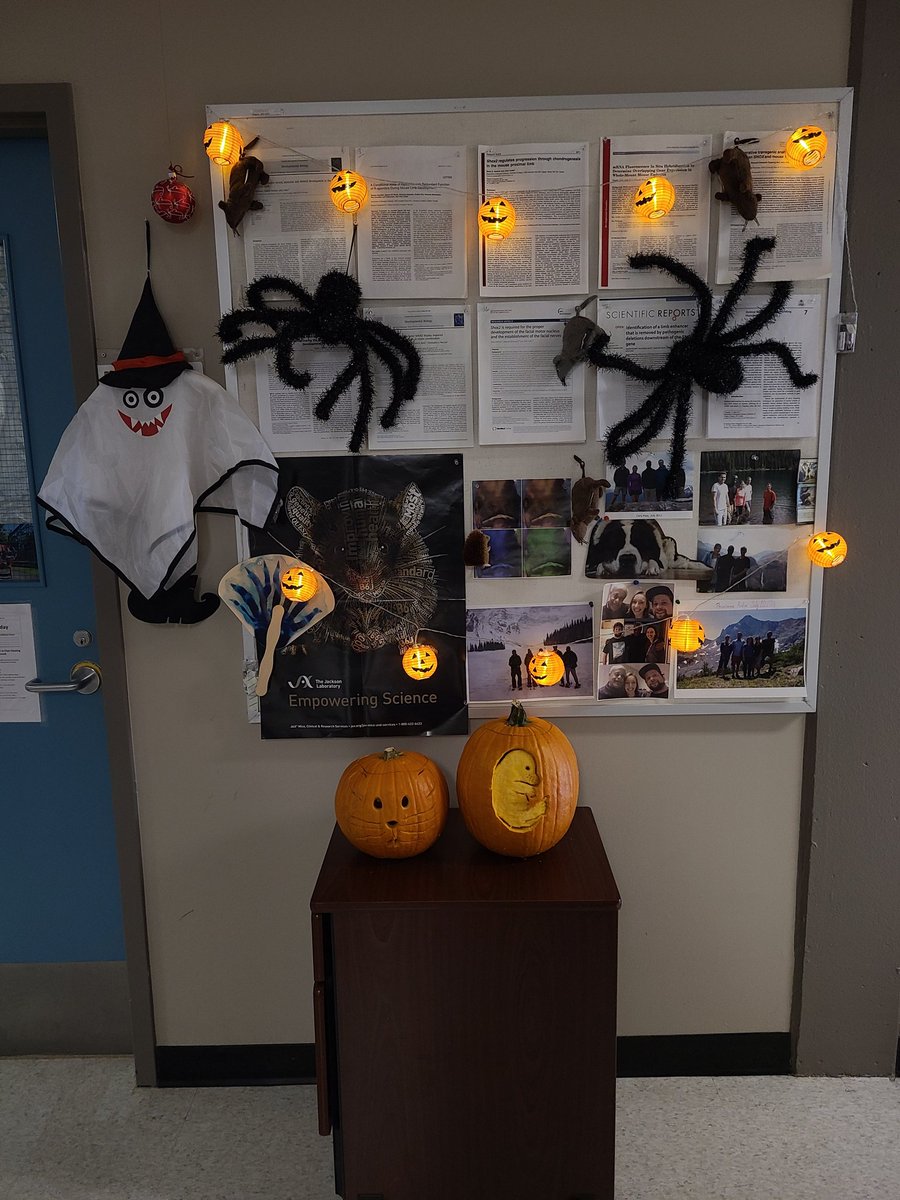 Carly Shae Sullivan tweet media