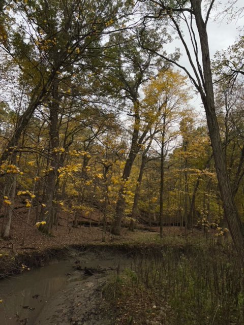 mswolf25's tweet photo. Pics by our students! https://t.co/4jw5319Ioo