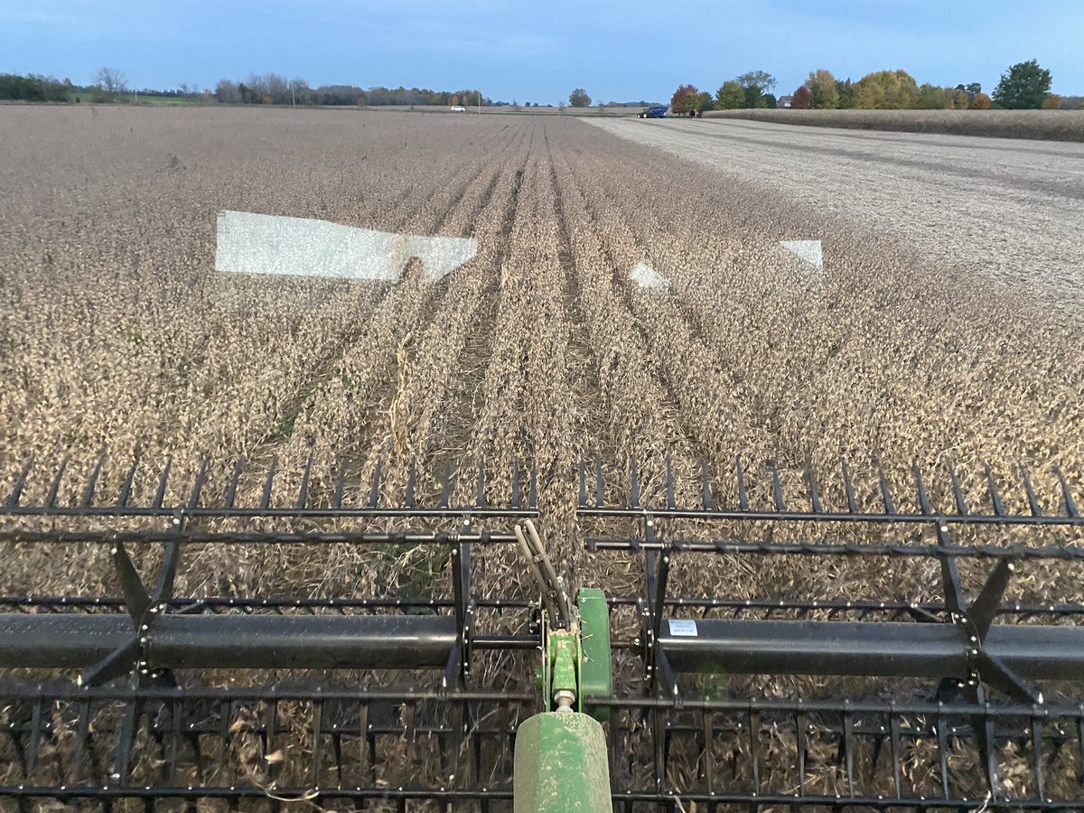 Rick Kootstra tweet media