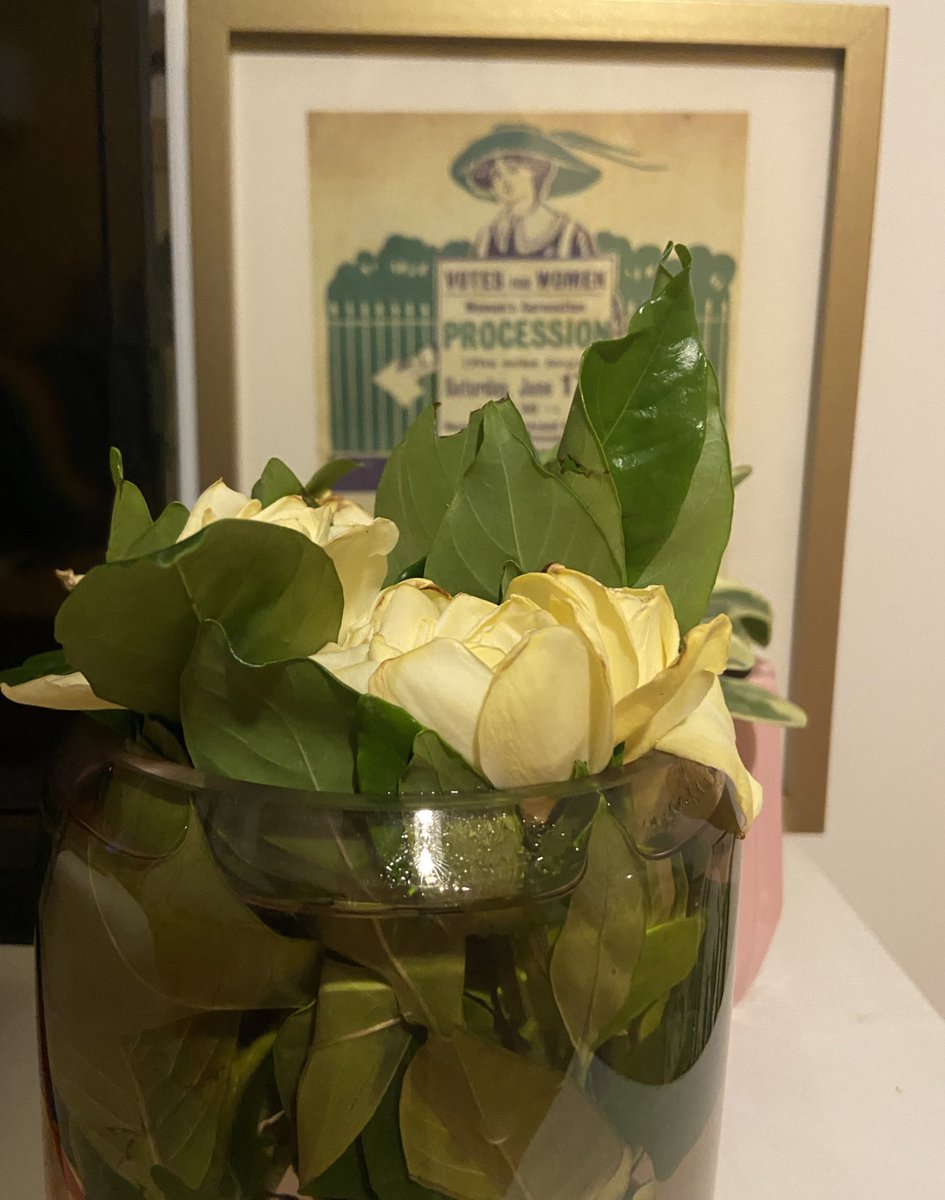 Celeste Murillo tweet media