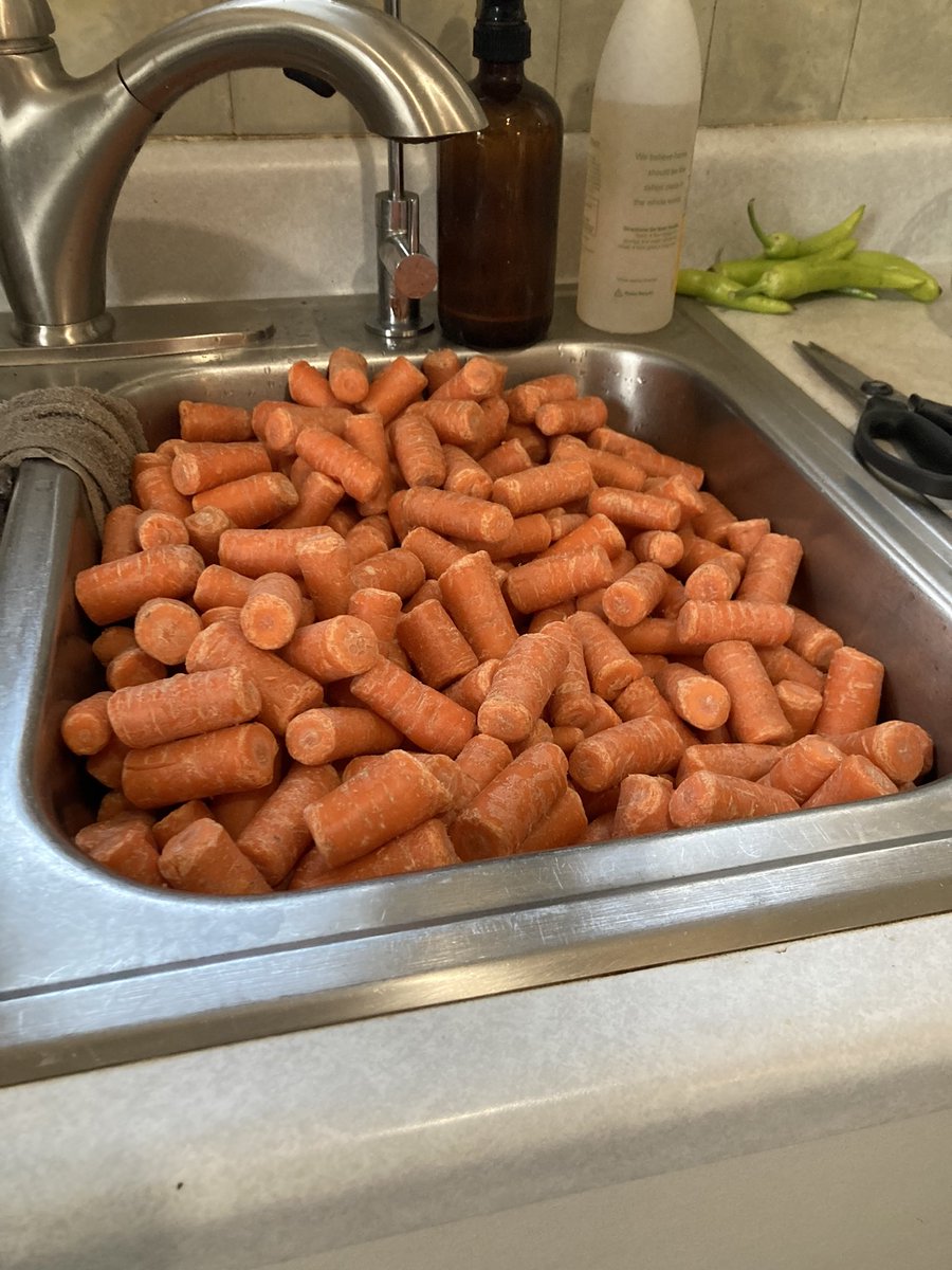 SimplyTanyas's tweet photo. Saint Vincent De Paul had 30 pound bags of carrots for the taking. Here’s what I did with the first 12 ❤️ Thanks #saintvinnies #homecanning https://t.co/ubXaSbmtQv