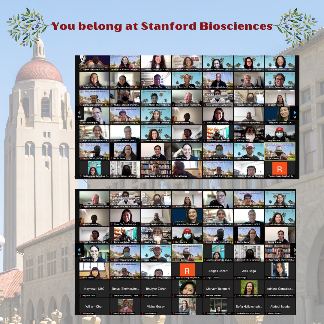 StanfordBiosci's tweet image. #YouBelongAtStanfordBiosci was a hit! Thanks to everyone who joined us. We hope you'll join us at #FirstGenInSTEM with @StanfordEng on 11/8! Register at tinyurl.com/FirstGenInSTEM and use the hashtag #FirstGenInSTEM. #RepresentationMatters #JEDI #DEI #STEM #IBelongAtStanfordBiosci
