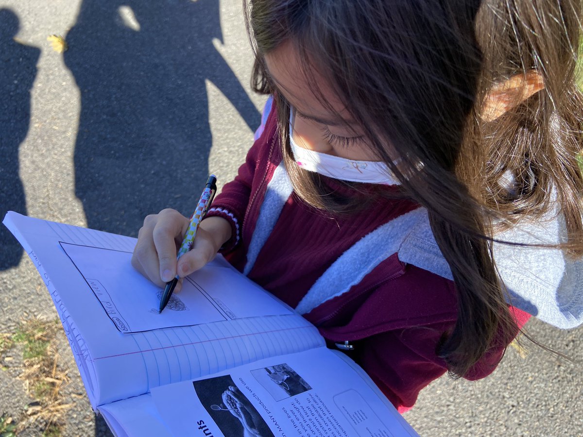 MrsScottsTeam's tweet photo. We enjoyed the fall weather while observing our schoolyard ecosystem π#fall #futureecologists https://t.co/5qofHfNDb9