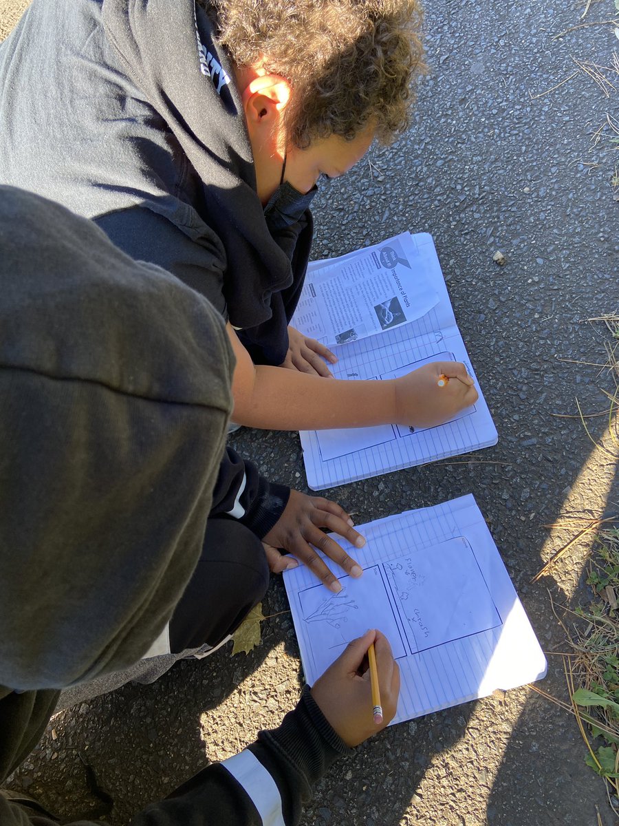 MrsScottsTeam's tweet photo. We enjoyed the fall weather while observing our schoolyard ecosystem π#fall #futureecologists https://t.co/5qofHfNDb9