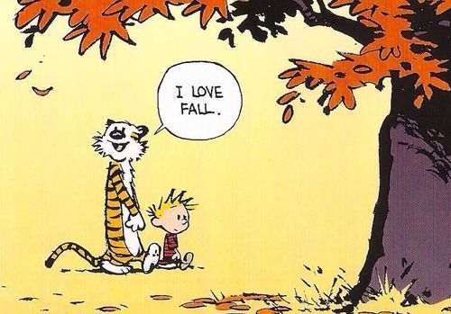 Calvinn_Hobbes's tweet photo. It’s the best time of year! 🍂🍁#CalvinandHobbes https://t.co/ISIPEFvkQF