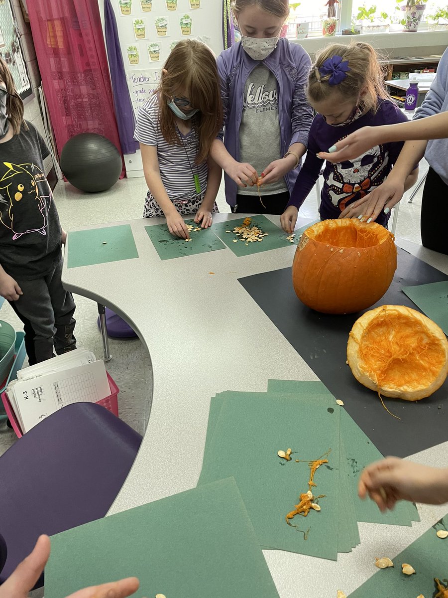 msbrownwes3's tweet photo. We had a great time investigating the pumpkins that we grew in the school garden! 🎃 @WESpolarbears #WeStandTogether #becomebelongNYCSD #inspireWES #reconnectNYCSD https://t.co/CSmlV16uCB