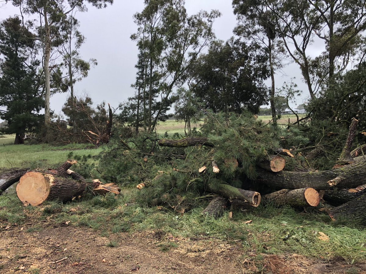 Andrew Whitlock tweet media