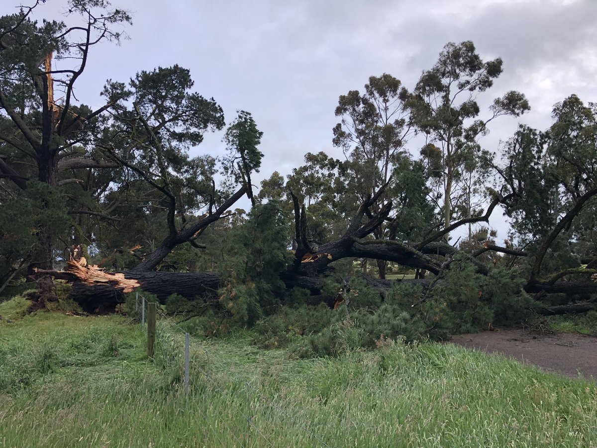 Andrew Whitlock tweet media