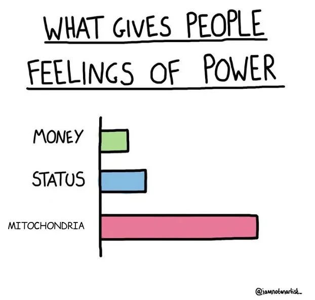 BuffPowerHouse's tweet photo. 😁🤣 https://t.co/gfhovjL4Gi