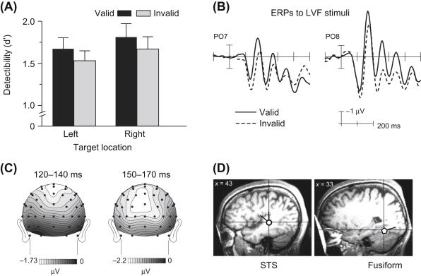 Some experiments with consciousness use masking: a brief visual stimulus is preceded and followed by longer interfering stimuli.

The nude scene in "Titanic" was a brief visual stimulus. The rest of the movie was interfering stimuli.