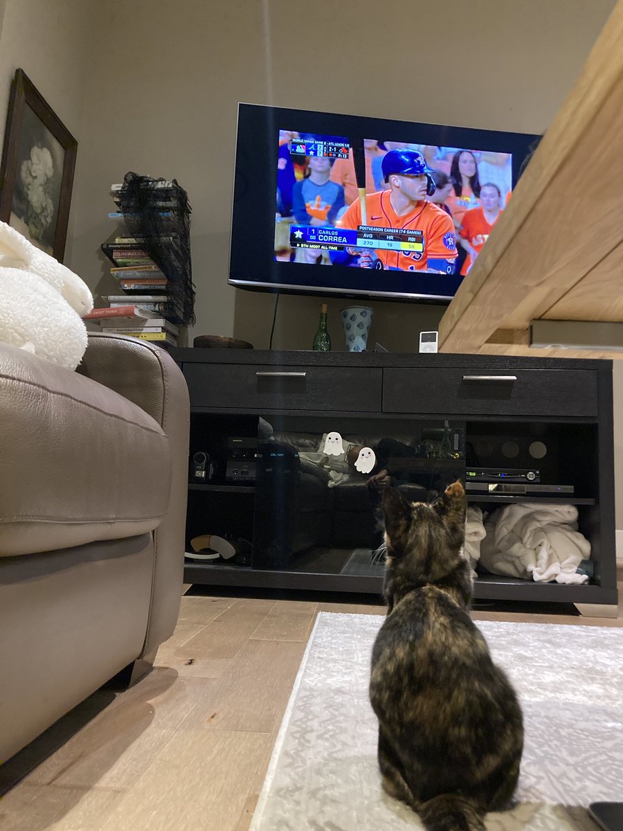 GSarty's tweet image. Our new cat likes to watch the World Series.
