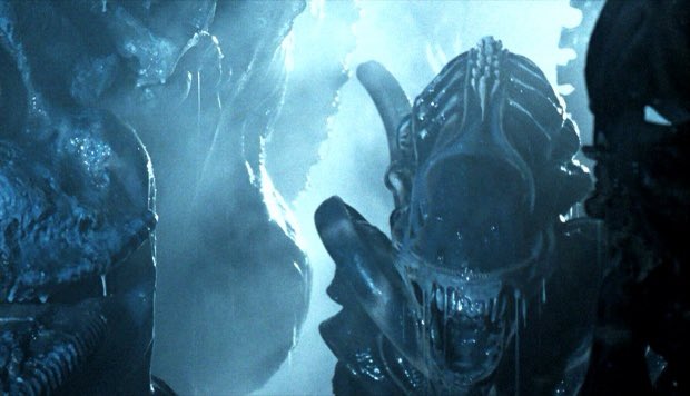 humaninarmor's tweet photo. Listen to them, the children of the night. What music they make!

#xenolife #xenomorph #aliens #dracula #humaninarmor #halloween #timeforcocoonedones https://t.co/lDn4GEtWFm