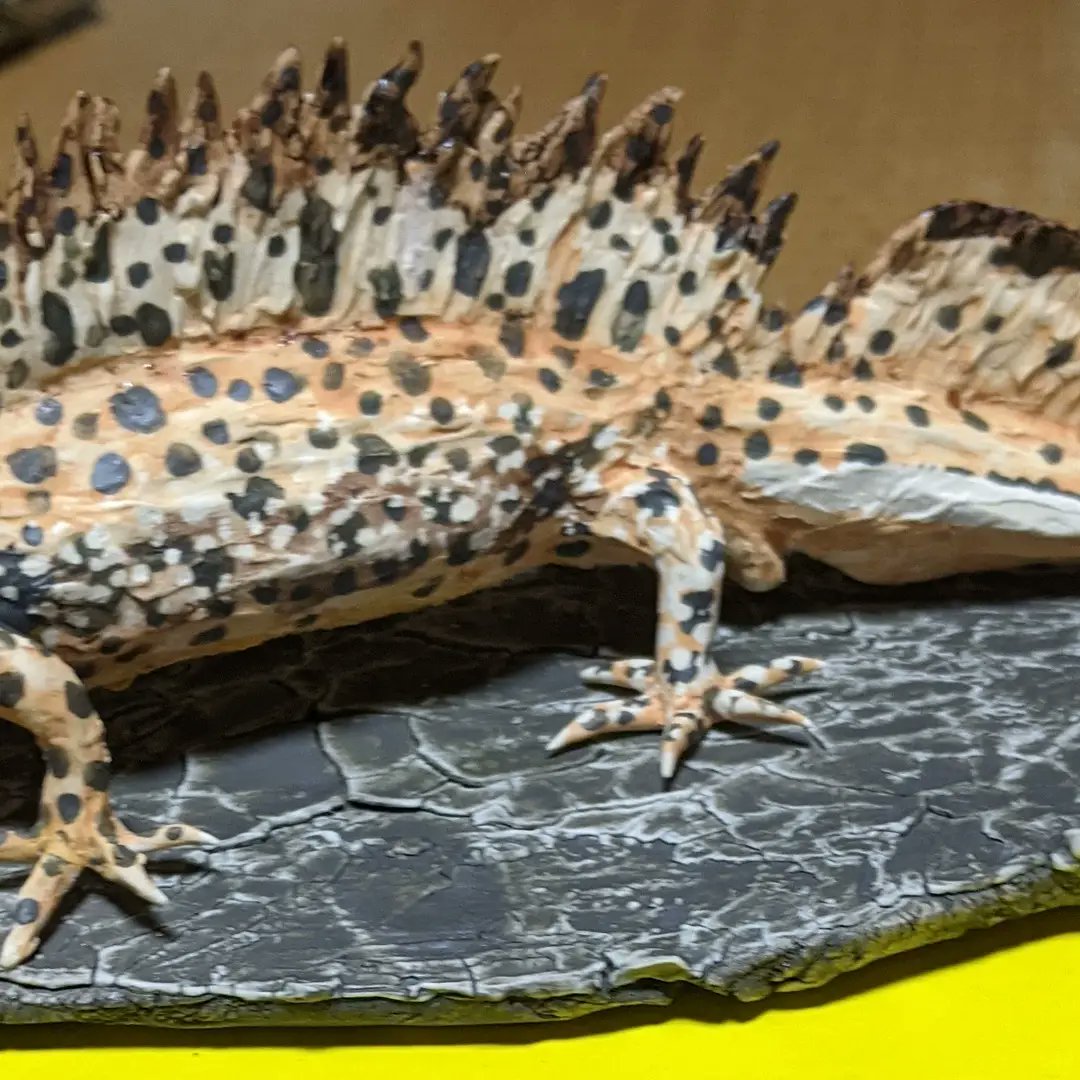 ダニューブクシイモリ