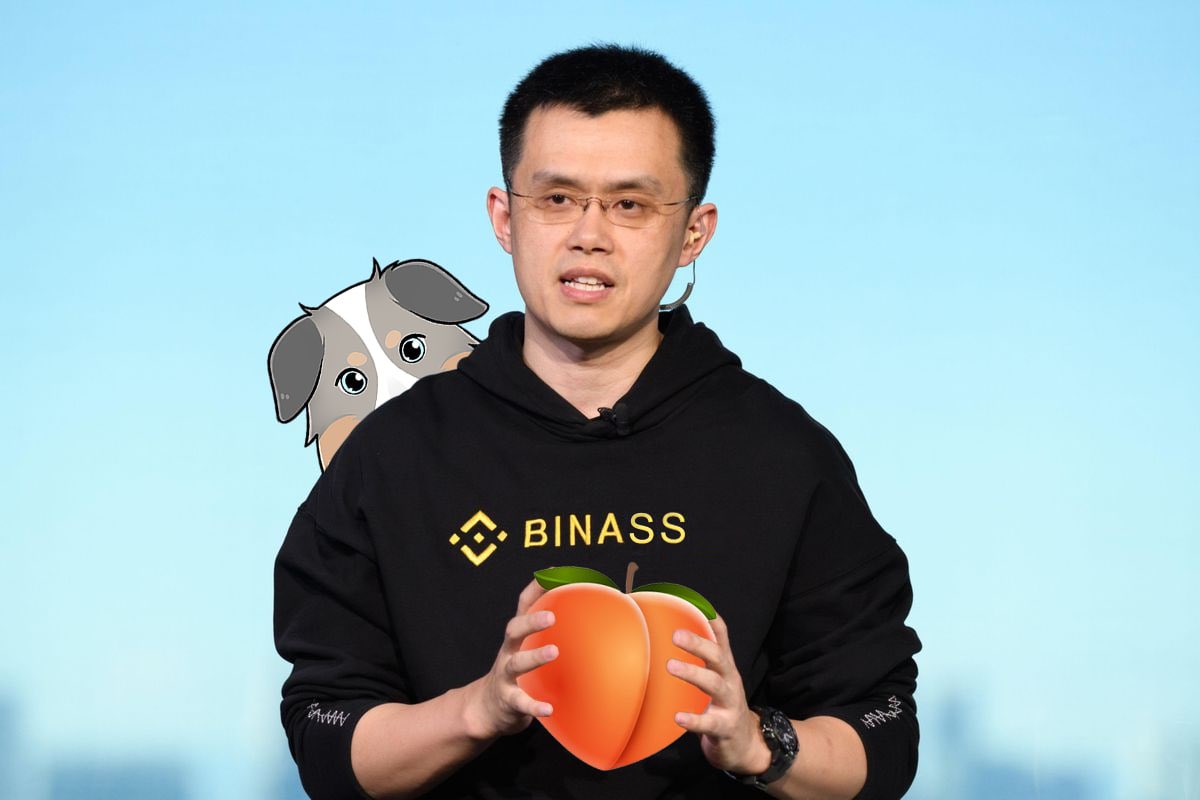tradinbenjamins's tweet photo. $ASS on @binance is inevitable
#BINASS https://t.co/CJnyda9ae0