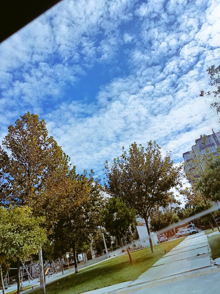 Haleakinn's tweet photo. @picvsco Hangisi en güzel?? https://t.co/O9ZwYuSprg