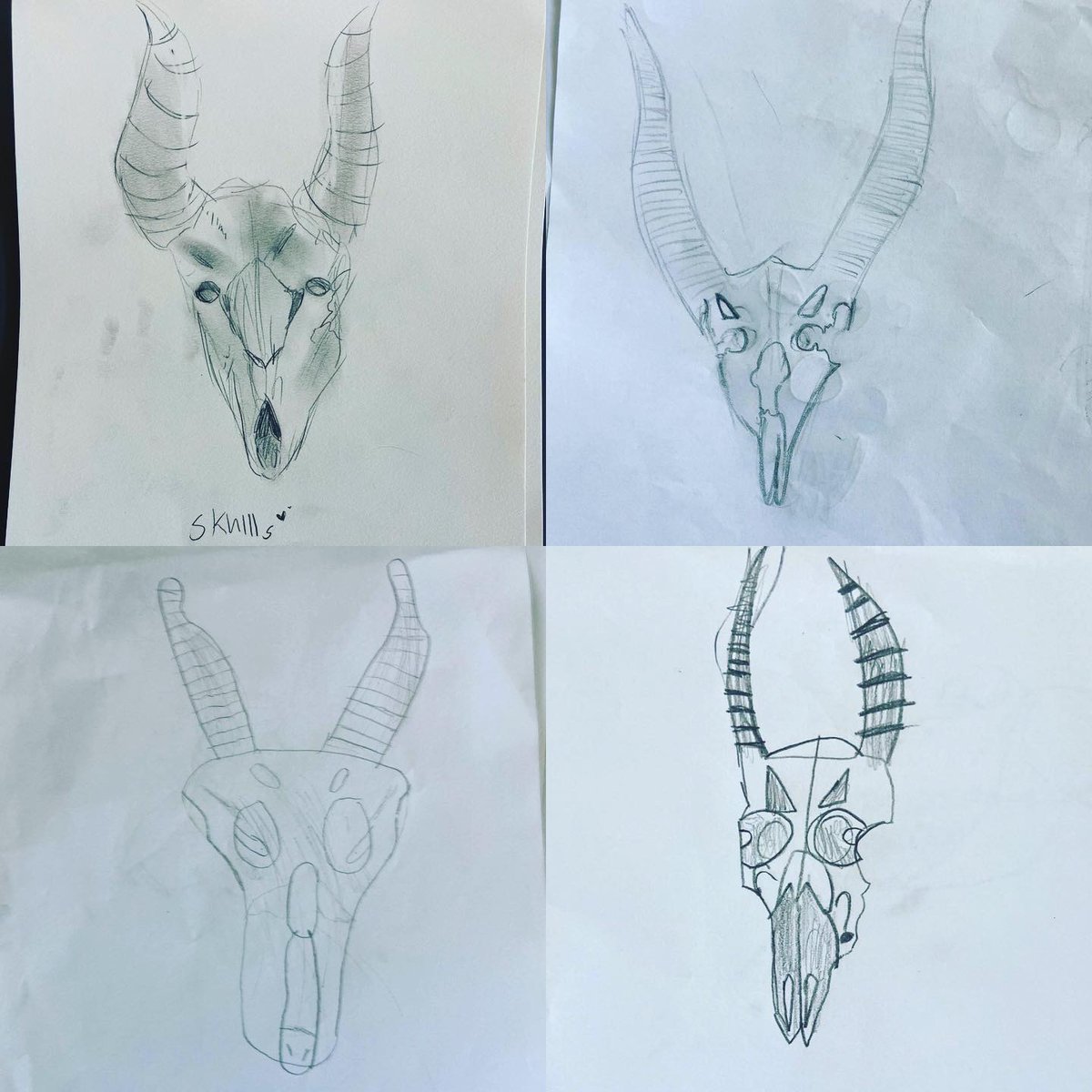 imaginationlab1's tweet photo. We took a virtual field trip to the @calacademy  to investigate their bone collection. We watched flesh eating beetles at work &amp; learned how structure of teeth can help determine what an animal eats. We exercised our scientific sketching skills with these spooktacular skulls! https://t.co/ShO6vdfiUY
