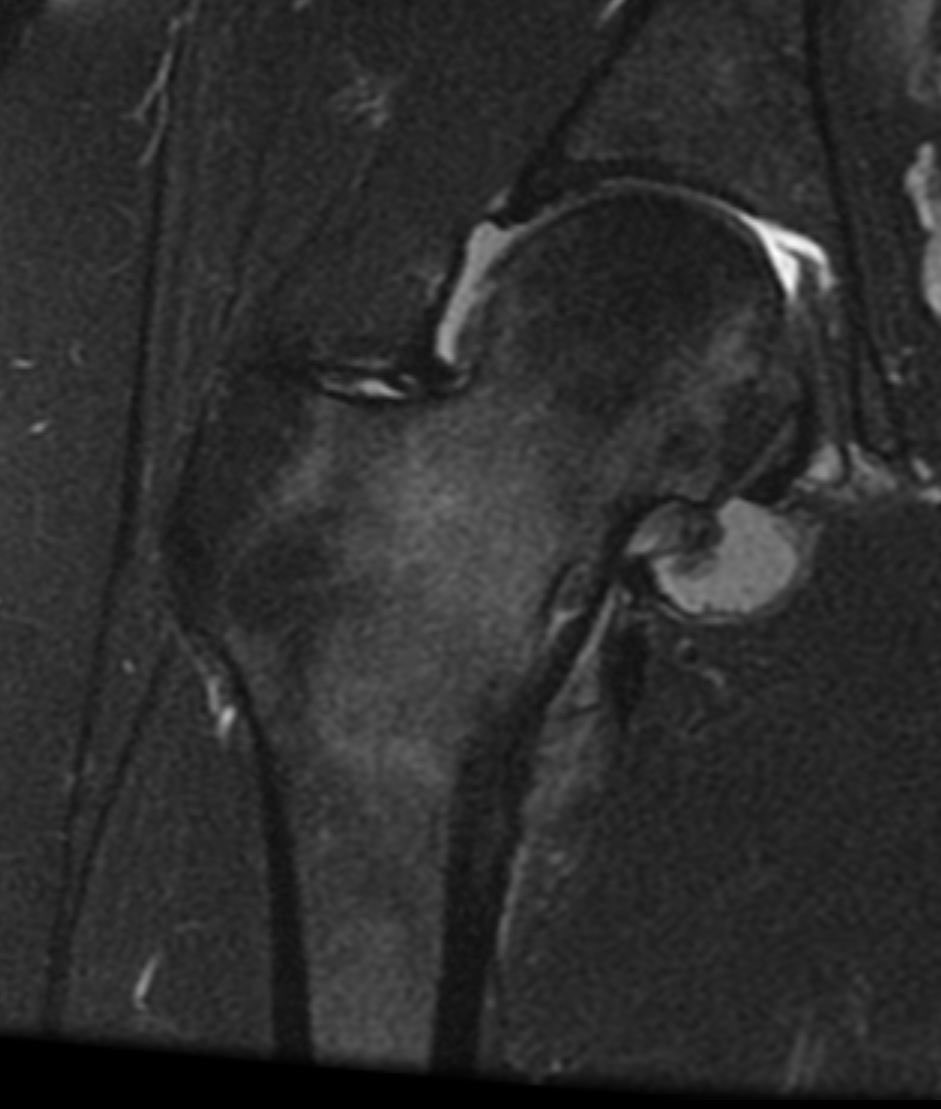 Navid Faraji tweet media