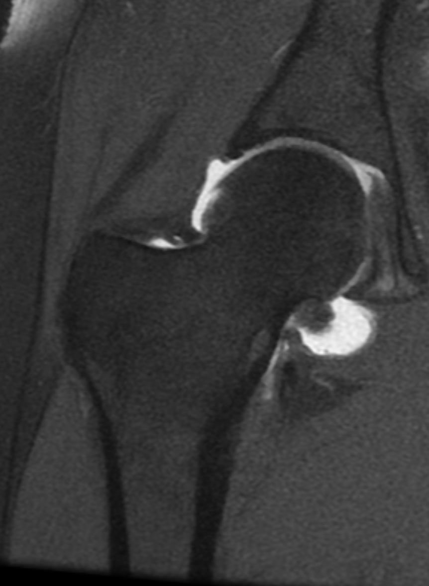 Navid Faraji tweet media