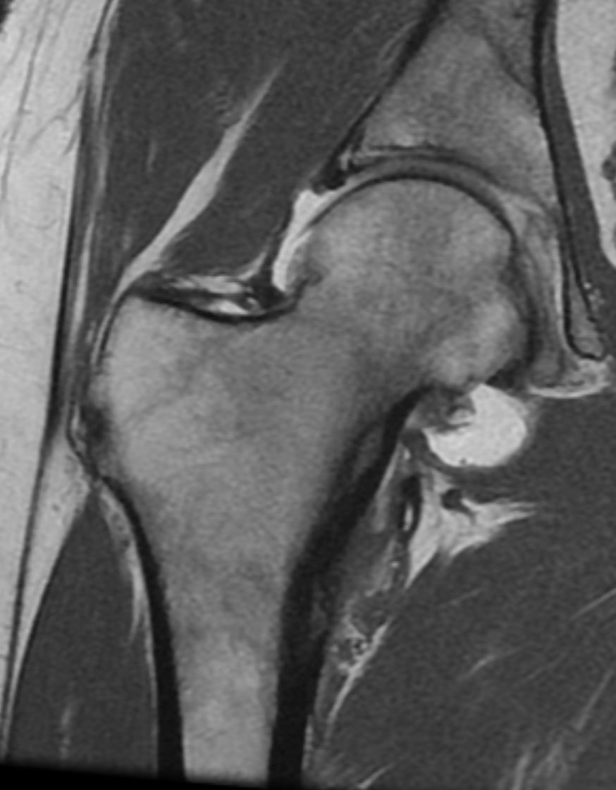 Navid Faraji tweet media