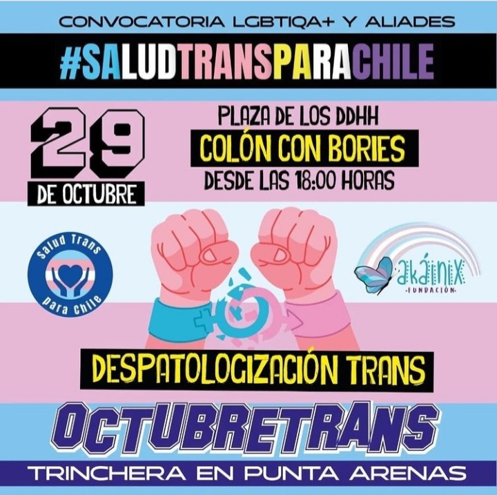 Asociación OTD Chile tweet media