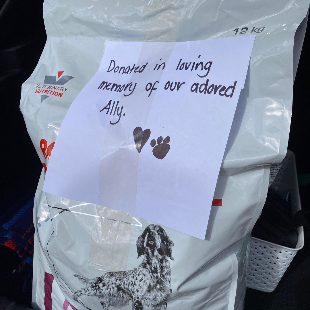 petshaven's tweet photo. Pets Haven would like to thank Judy for her generous donation and our deepest sympathy for the loss of her beautiful dog Ally. 💞 https://t.co/lWIbgEETt4