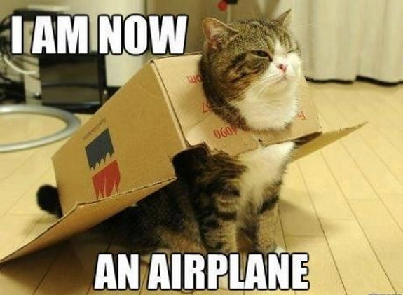 lilalexhorne's tweet photo. look. @BlimpHardison https://t.co/BGSKzwuHYo