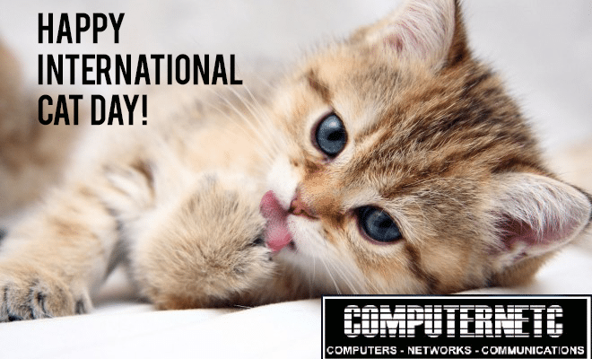 computerNETC's tweet image. We Repair your Computer. Are you experiencing system issues or think your computer has been infected with a Virus, Malware, Trojan, Ad-ware, etc.…? Are you confident that your systems are safe and secure? I can help. We Fix all type problem like Virus and Windows And Hardware.
