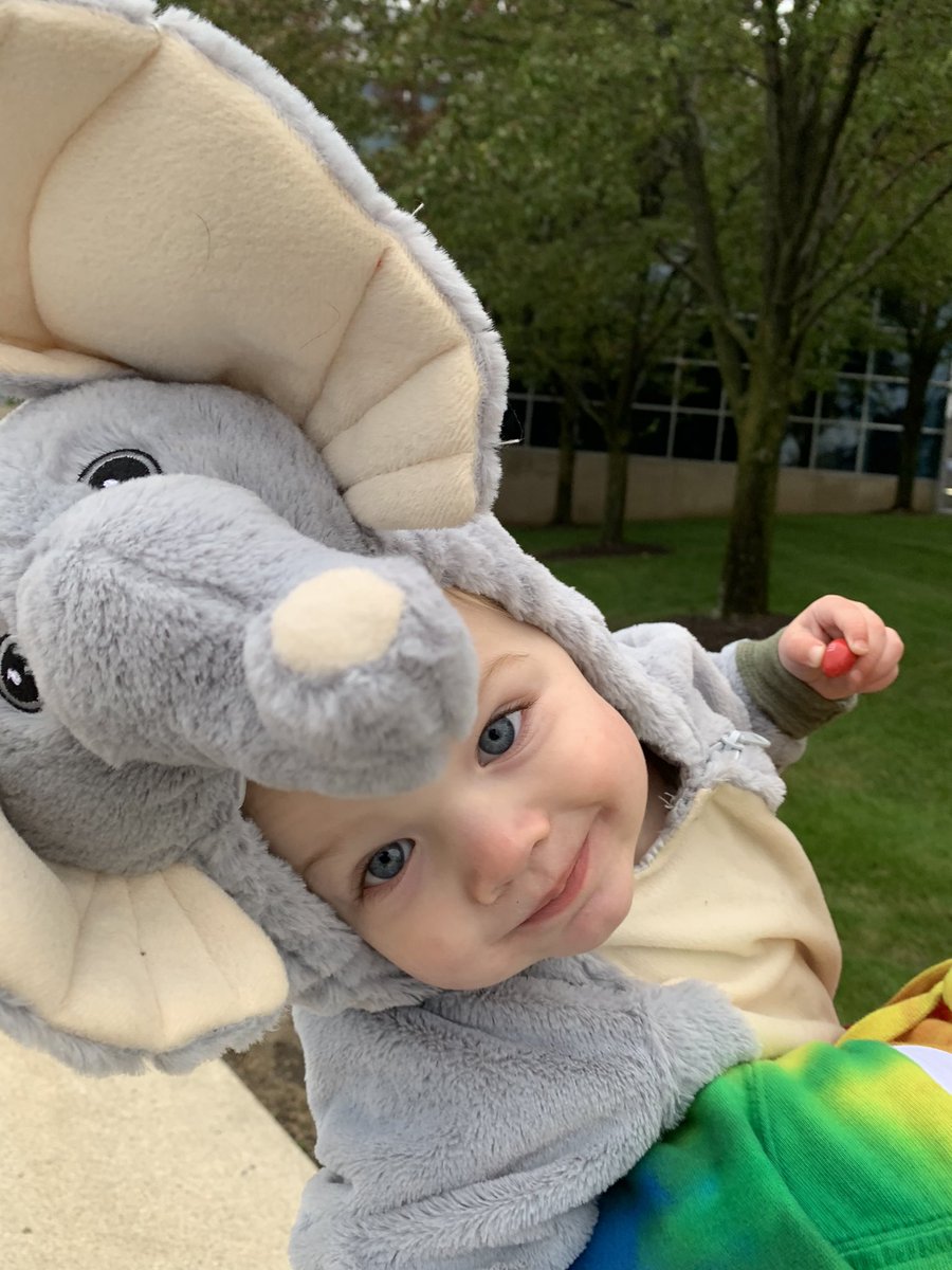 UncleLumpy89's tweet photo. Someone enjoyed their time trunk-or-treating with the Detroit Lions! #touchdownsandtreats https://t.co/W8URr9XBRQ