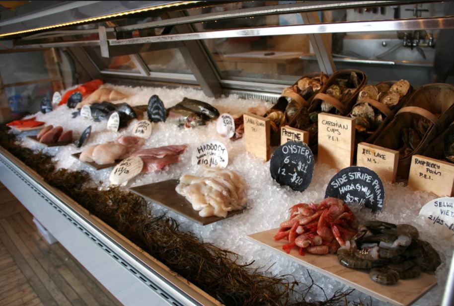 DavidSuzukiFDN's tweet photo. Our friends at SeaChoice are working to make it National *Sustainable* Seafood month by shining a light on problems with seafood labelling and traceability. Read more here: https://t.co/m92HXinFWW
#SeaChoice #NationalSeafoodMonth #SeafoodForGood https://t.co/F51K0ANAoy