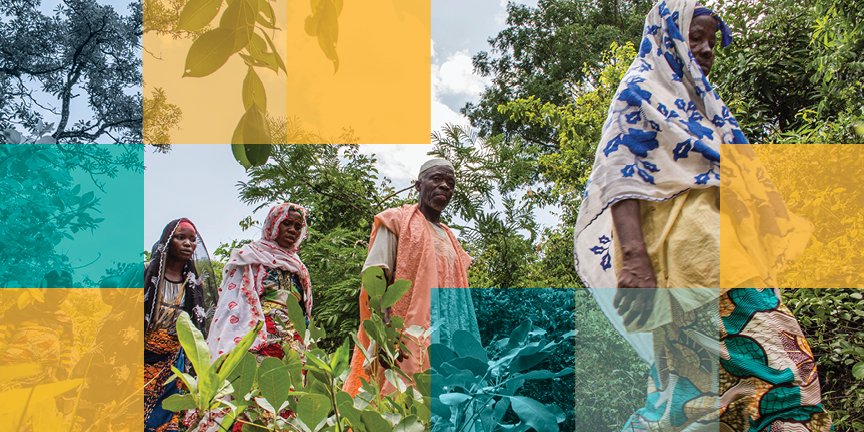 BM_Afrique's tweet photo. Baisse de la production agricole, pénurie d'eau et hausse du niveau de la mer, si nous n’agissons pas maintenant, c’est 86 millions d'Africains qui pourraient être obligés de migrer au sein de leur propre pays d’ici 2050. https://t.co/0akpxsNCoV #Groundswell #ClimateSmartAfrica https://t.co/GUYgc77KIN
