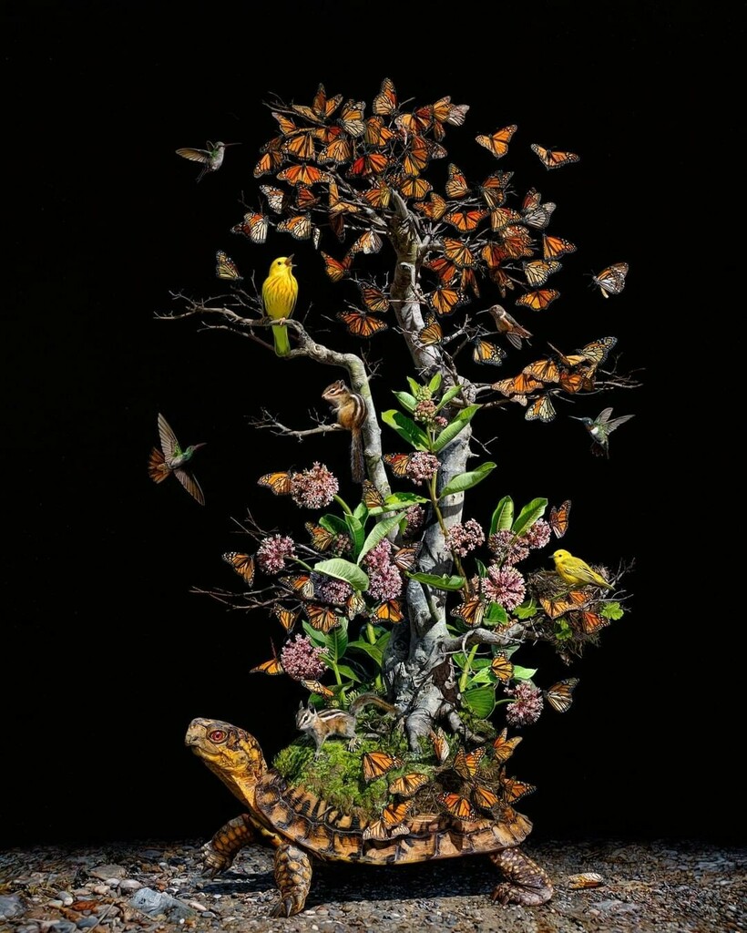 wowbywow's tweet photo. 'Weight of the World' by Lisa Ericson (@aqualisa)
•
#lisaericsonart #contemporarypainting #hyperrealism #wildlifeart #animalart #natureart #contemporaryart #hyperrealisticart #monarchbutterfly #surrealismo #turtleart #tinybrushes https://t.co/LrJpQh5NQp https://t.co/9m7nHxA5Nr