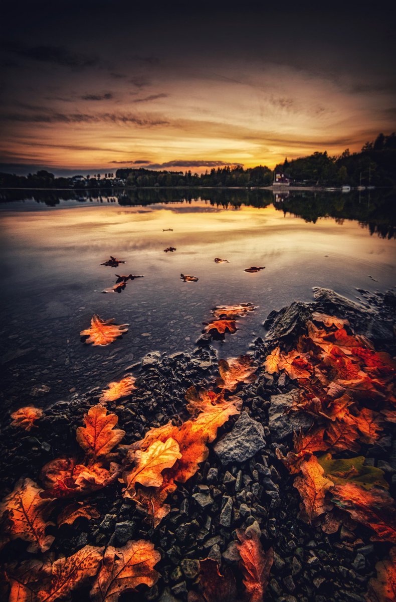 herbstzauber...
-/-/-
-/-
all rights by
michaloewe.com
unauthorized copying 
or reuse of this picture
without permission is not allowed
-/-/-
#landscapelovers #landscape #autumn #sunsets #PhotoOfTheDay #photographer #PhotoChallenge2021October #emotional #feelings