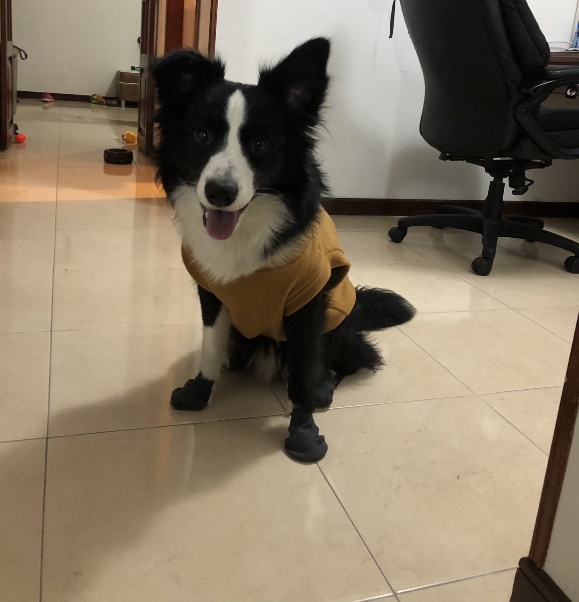 zapatalaguadomd's tweet image. Luffy’s elegant outfit! #nakamalikeasir #gearsecond