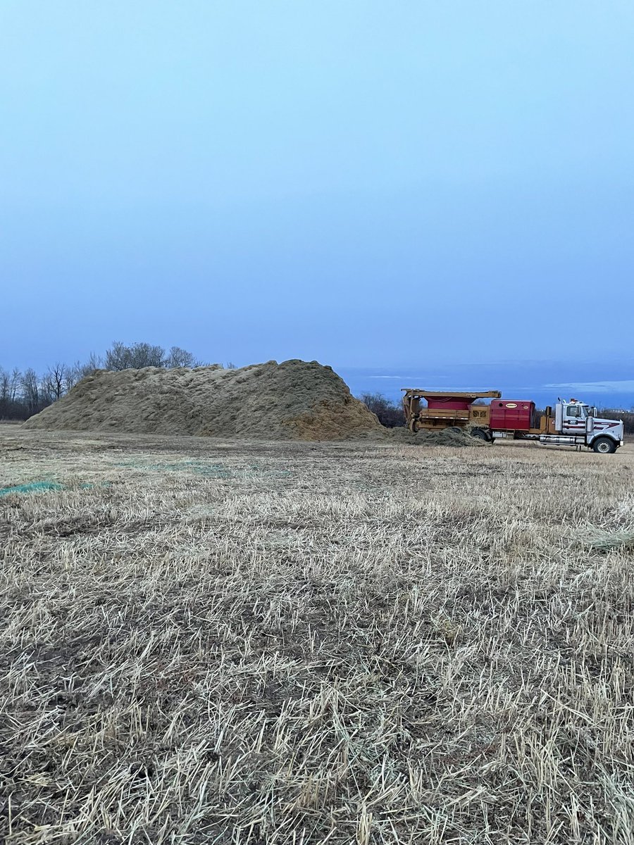 Cow chow Thursday. There’s feed out there, make the best use of it as you can. Tubgrinding is a great option, poor or excellent quality-stretch it out. No I'm not bias, I do raise cattle myself.🤷‍♂️ #cowchow #haybuster1150 #grindemifyougotem