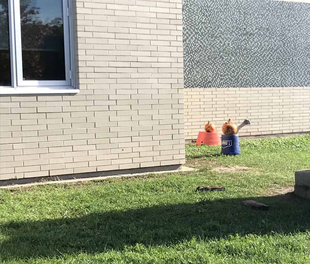 BeaubienLollar's tweet photo. We found something in the yard this week. We had a fun pumpkin race and have decorated our pumpkins to take home #HappyHalloween #grossmotor #finemotor #playbasedlearning @Southview_LDSB https://t.co/geBa0MnBga