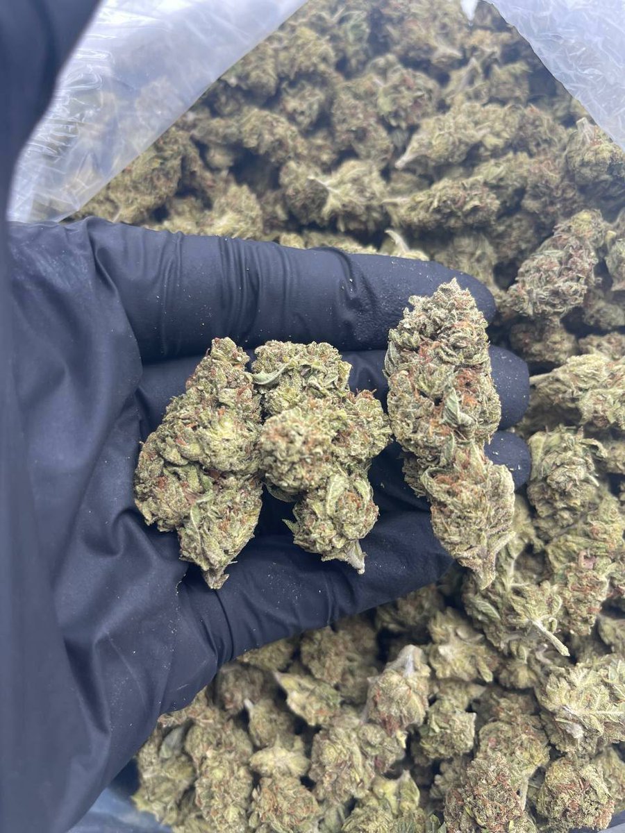 We are still taking orders now. Hit me up +13144723035