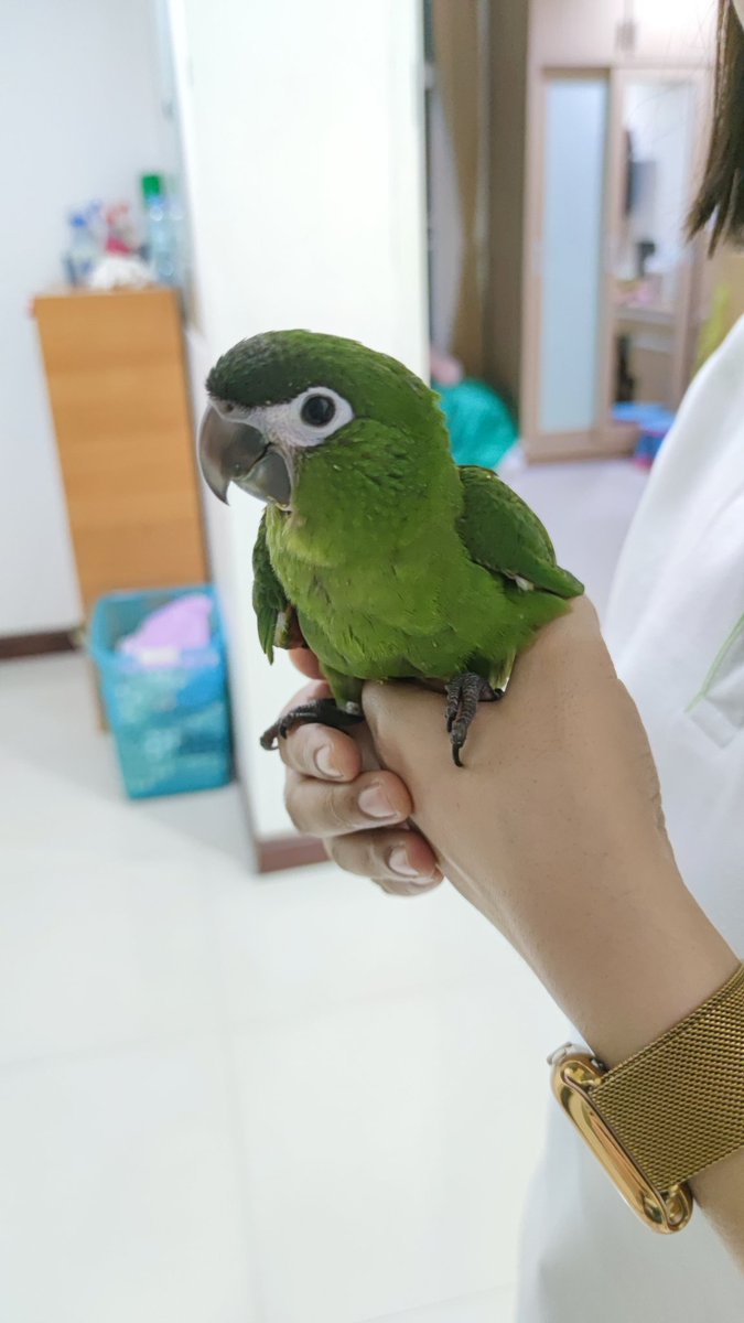 Phuu P tweet media
