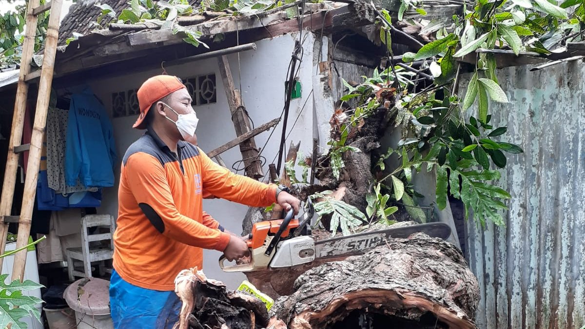 #Evakuasi pemulihan pohon tumbang karena hujan disertai angin kencang yang menimpa rumah Bapak Eko Budi Supriyanto - Kamis, 28 Oktober 2021.
Lokasi : Salak, Giripurwo, Wonogiri.
- tidak terdapat korban jiwa.

#BPBDWonogiri #Waspada