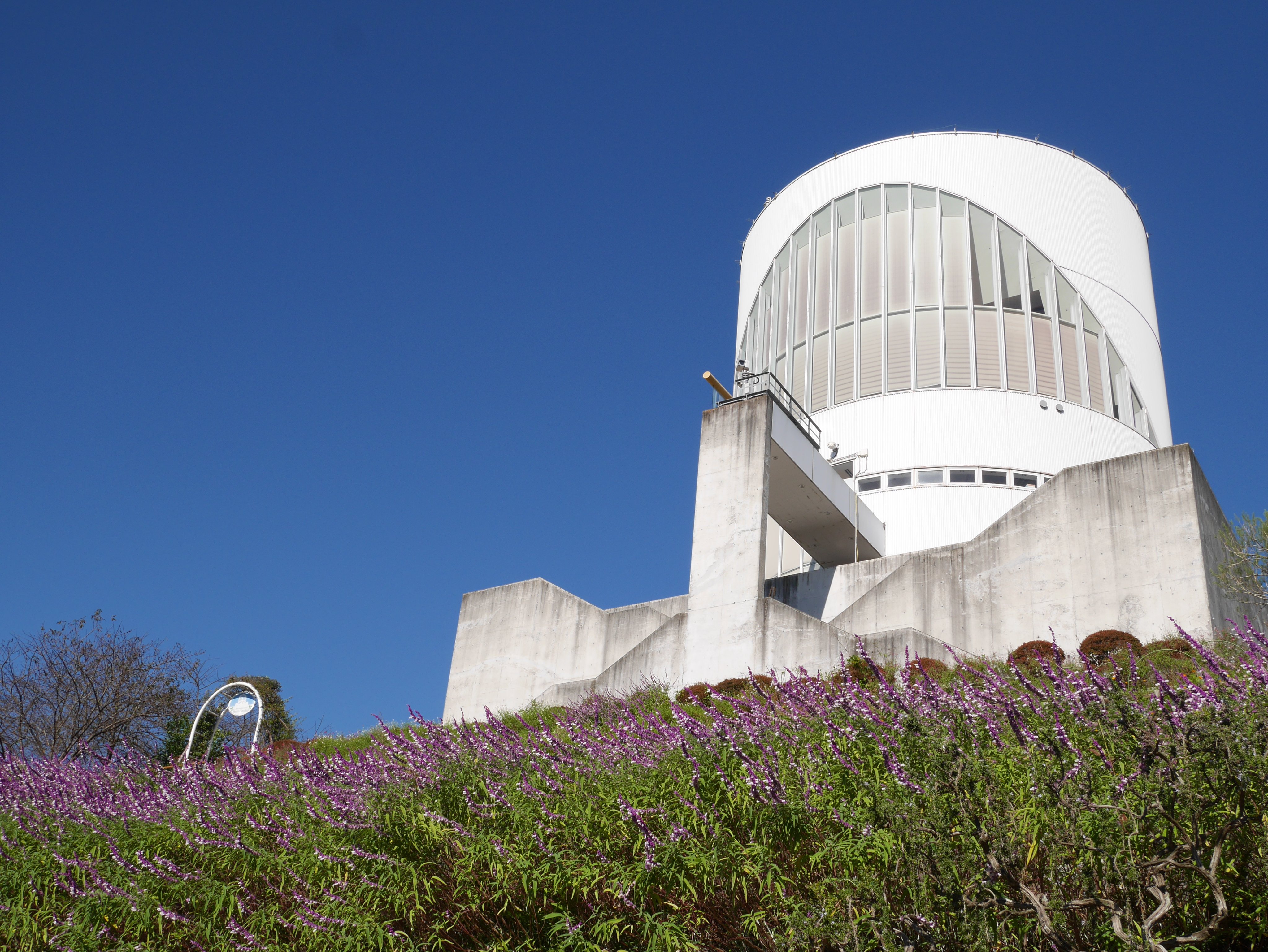 西平畑公園 本日の西平畑公園は 爽やかな秋晴れ 絶好のハイキング日和です 金 土 日曜日限定で ビロードのような紫色の花 アメジストセージの摘み取り を 300円で行っています また 緑色をしていた唐辛子の果実が 花言葉 嫉妬 のとおり 怒り