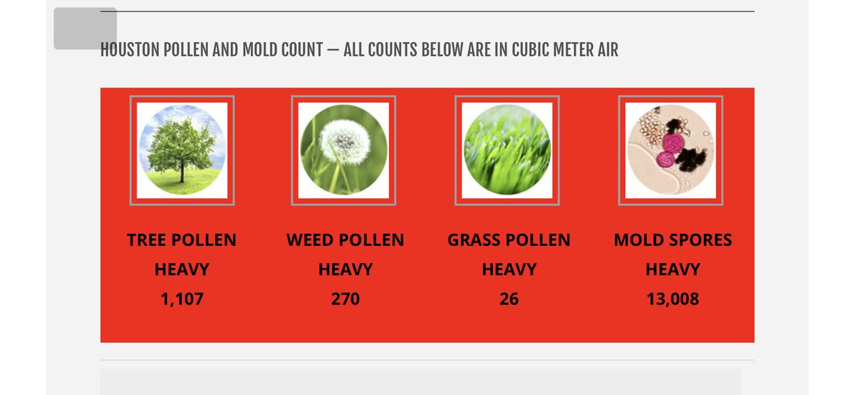 What do 40 mph NW winds bring you? Pain.