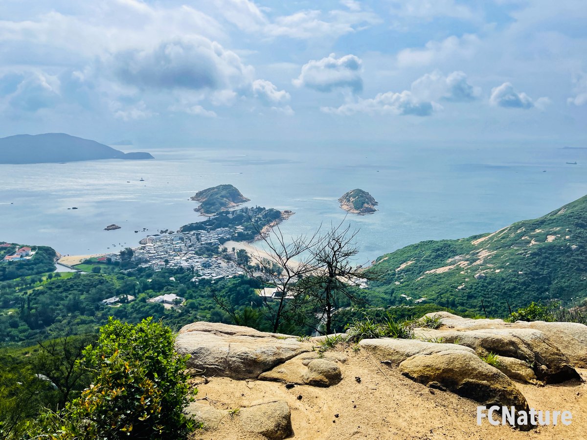 FCNature's tweet photo. Visit Dragon’s back during weekend.
Relaxing noon in the beach nearby.
#Dragonsback
#hiking #trekking #trailing #green #nature #hikinghk #hikingday #hikingtrail #hikingculture #sports
#FCNature #FCNaturesports #natureinthecity #explore #photo #weekend #picoftheday #hongkong #hk https://t.co/bfjvbGKJFg