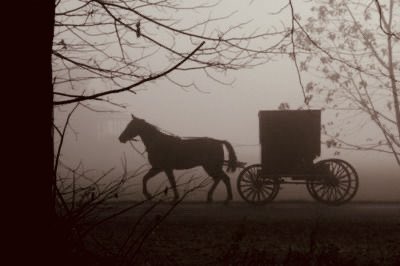 Kallumina's tweet photo. Pulling up to the  #hallowpeachball as a corpse bride in a victorian carriage? Yup that’s me ✨ dateless today as I’m waiting for my future husband to put a ring on what he thinks is a twig ˘͈ᵕ˘͈

Thankyou @Kinascorpse for organising this 🤍 https://t.co/qPcyA889cD