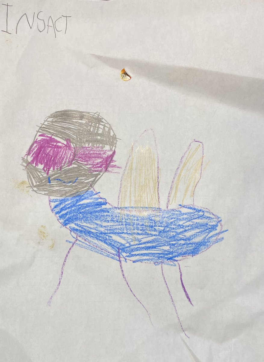 blackbellied's tweet photo. My 5yr was learning about the letter “i” at school today … and this was what he chose to draw. #BuddingBiologist #Entomology https://t.co/NWdw3jDYV8