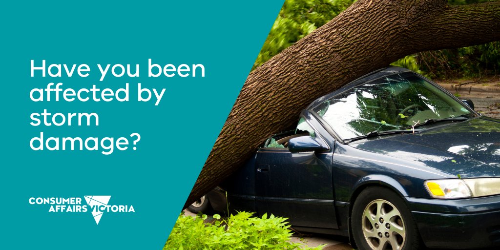 consumervic's tweet image. Have you been affected by the damaging winds &amp;amp; storms from today’s wild weather across Victoria? 

See our advice on renting rights in a disaster, clean-up and repairs, and flood and vehicle damage: consumer.vic.gov.au/disasterhelp

#melbourneweather #VicStorms