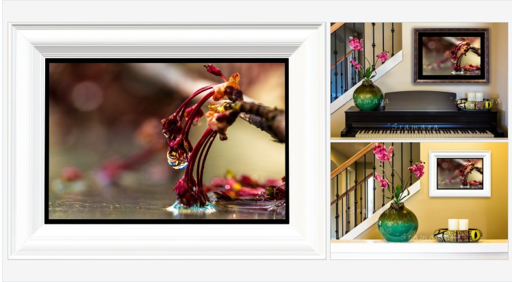 Rescuedoffering's tweet photo. Spring Water Droplet Photo Water Art Summer Gift Nature | Etsy #Droplet #fall #FallGift #photoGift #homeDecor #etsyspecialt 
https://t.co/5dU4oOGDmM https://t.co/uRwWVy9Oc5