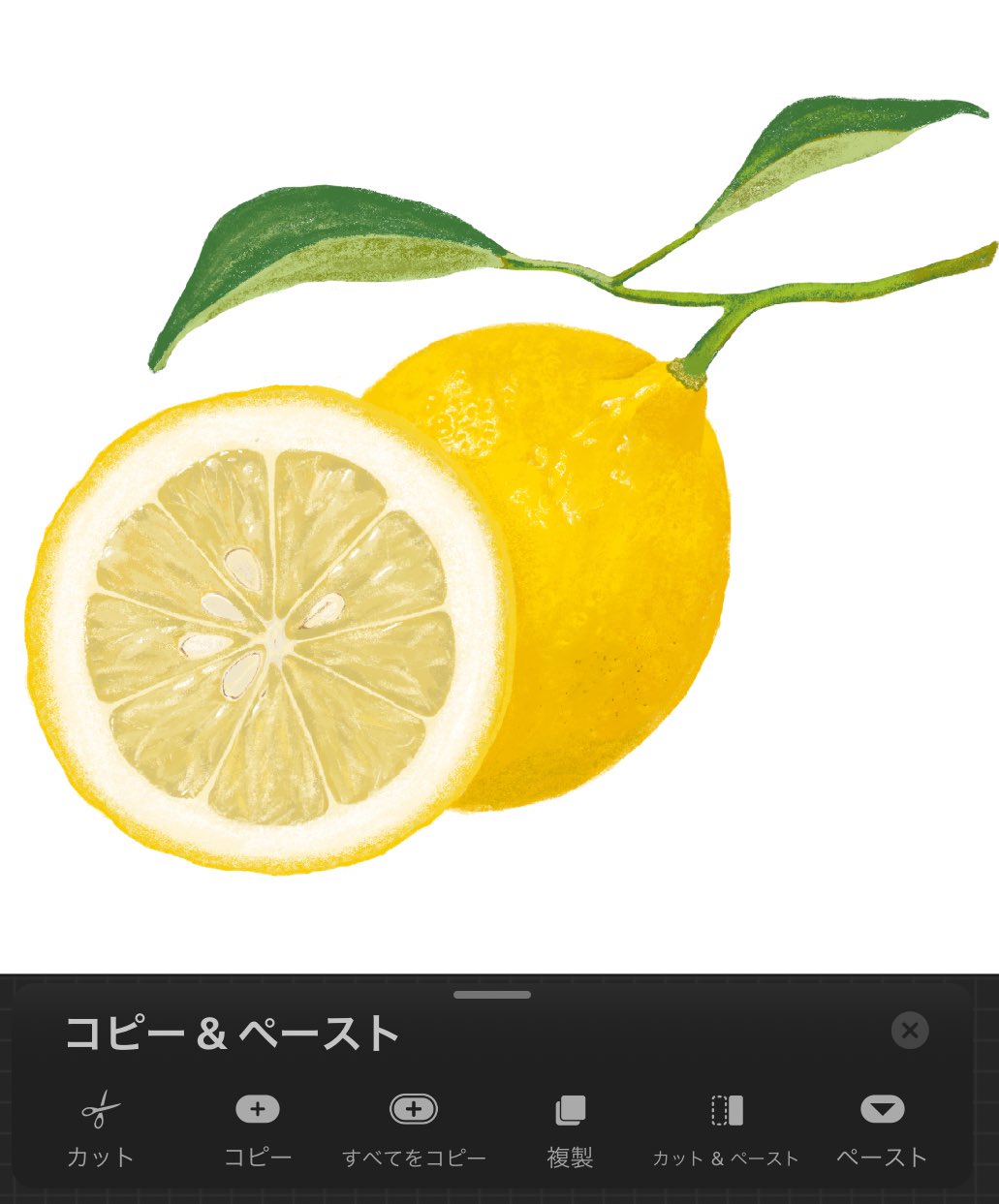 あすなろ 挿絵店 おはようございます すだちのイラスト描き始めました 手前のすだちさえ描いてしまえば後ろのすだち はコピペ加筆で 半切りすだちはレモンのイラストから持ってきて加筆 早期制圧を目指します イラスト T Co 1glgootcti Twitter